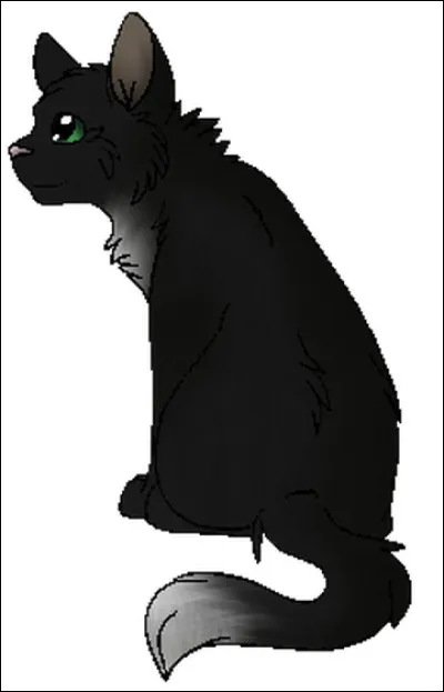 Où va Nuage de Jais lorsque Nuage de Feu apprend qu'il est menacé par Griffe de Tigre ?