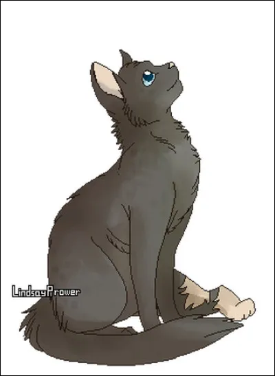 Que va devenir Nuage Cendré ?