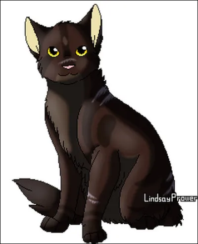 Qui est Étoile Brisée ?