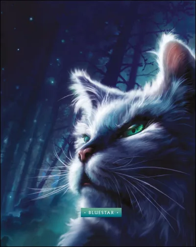 Quel est le nom de guerrière d'Étoile Bleue ?