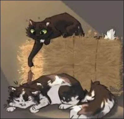 L'un est un ancien apprenti nerveux du Tonnerre et l'autre un gentil solitaire :