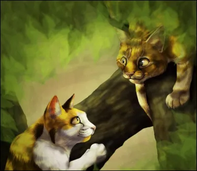 L'un a le poil doré et l'autre le poil écaille et blanc. Qui sont-ils ?