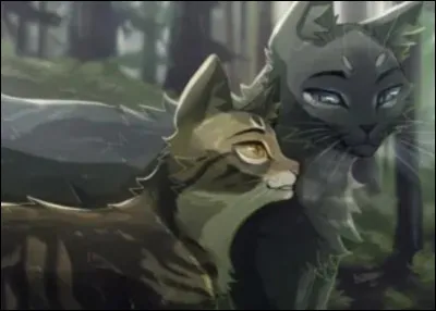 L'un est un guerrier réservé du Vent et l'autre la douce guérisseuse du Tonnerre :