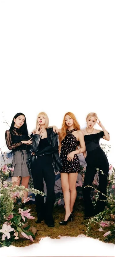 Qui chante "Mégaverse" ?