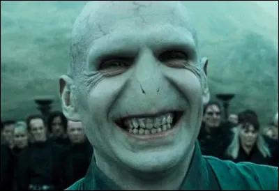 Que penses-tu de Voldemort ?