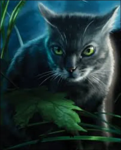 Qui est la sur de Nuage de Violette ?