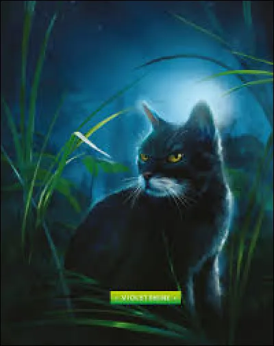 Dans quel clan est Nuage de Violette ?