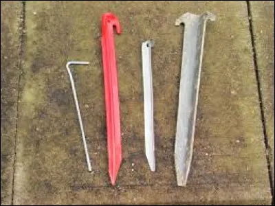 Quels petits poissons donnent leur nom aux piquets de tente que l'on plante dans le sol ?