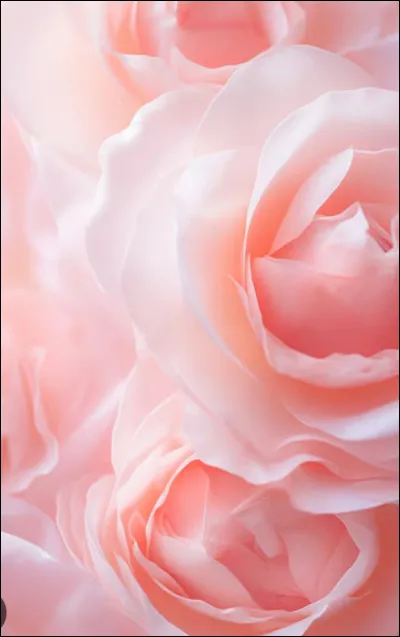 Quel est ton animal pr&eacute;f&eacute;r&eacute; ?