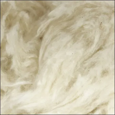 Quelle est la bonne graphie de cette fibre végétale ?