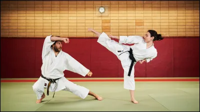 Art martial, dit japonais. Comment l'écrivez-vous correctement ?