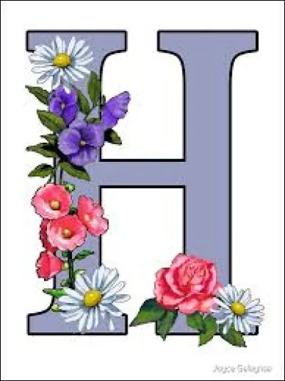 Comment appelle-t-on un musicien jouant de la harpe ?