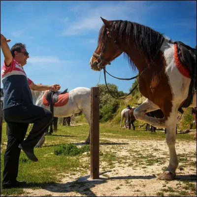 Galop 1 : Quelle est la chose à ne pas faire ?