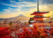 Quiz Le Japon : vrai ou faux ?
