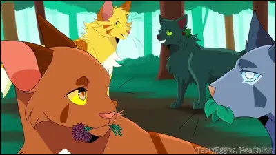 Quel est ton caractère ?