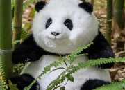 Quiz Vrais animaux... mais aux noms compltement trompeurs !