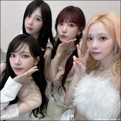 Qui sont les deux membres n'étant pas coréennes ?