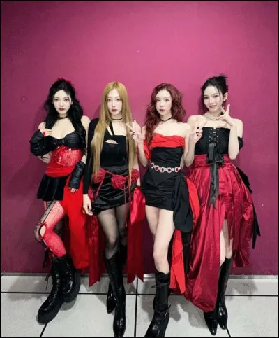 Comment se nomme le fandom du groupe ?