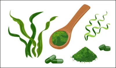 Quest-ce que la spiruline ?