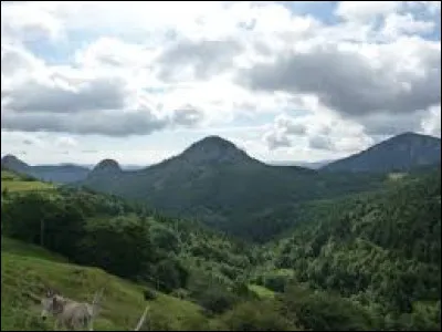Ce suc ne coule pas des plantes (surtout celles des pieds), il vient du Massif Central, qu'y voyez-vous ?