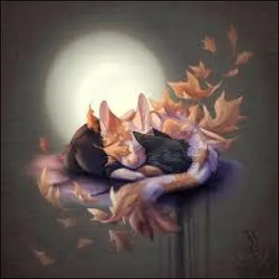 Et là, qui sont-ils ?