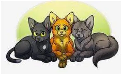 Et enfin, un trop facile mais symbolique, qui sont-ils ?