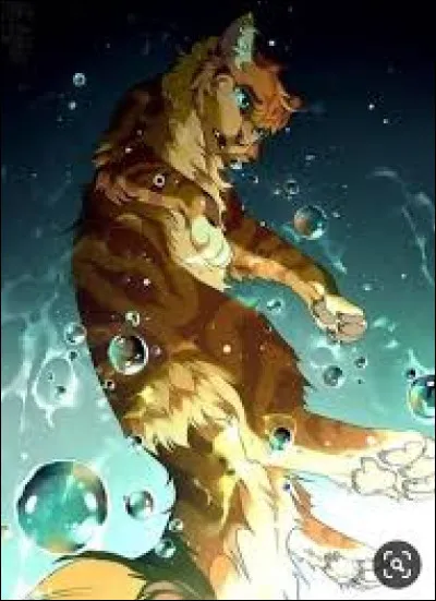 Qui est ce beau chat roux ?