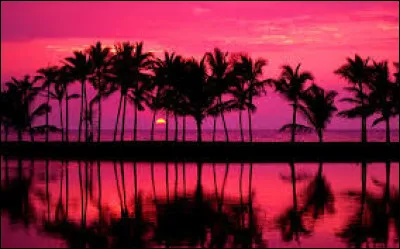 Dans quelle ville la Tour Eiffel est-elle située ?