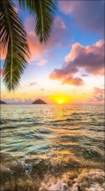 De combien d'années le lycée est-il composé en France ?