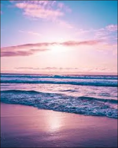 Dans quelle maison de Poudlard Harry Potter est-il ?