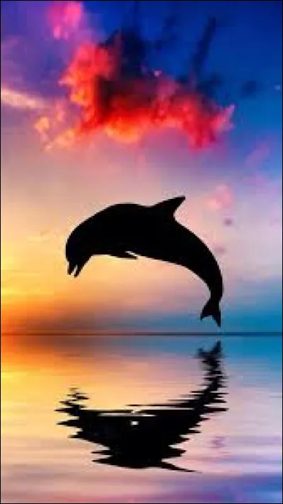 Combien de pistons y a-t-il sur une trompette ?