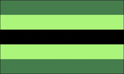 De quel drapeau s'agit-il ?