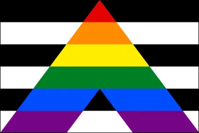 Les personnes soutenant la communauté LGBTQIA+ ont aussi un drapeau ! Est-ce bien celui-ci ?