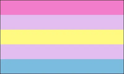 Enfin, nous terminons avec ce drapeau. D'après vous, à quoi correspond-il ?