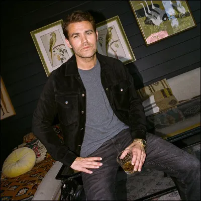 Qui est l'acteur de Stefan Salvatore ?