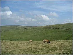 A combien est son point culminant ?