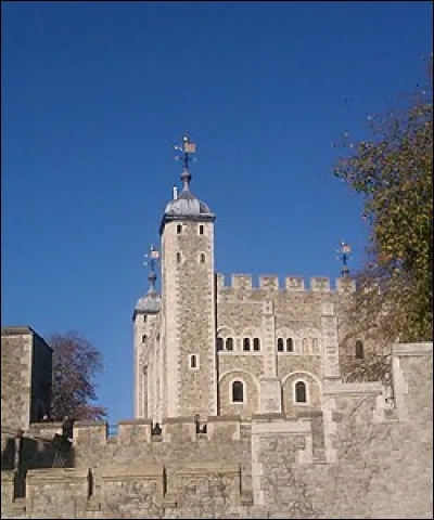 Quels oiseaux sont associés à la tour de Londres ?