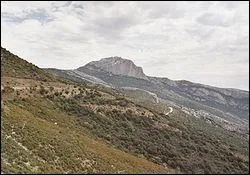 A combien est son point culminant ?