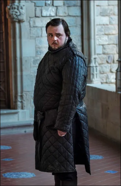 Il lit beaucoup et est le meilleur ami de Jon Snow ! Qui est-ce ?