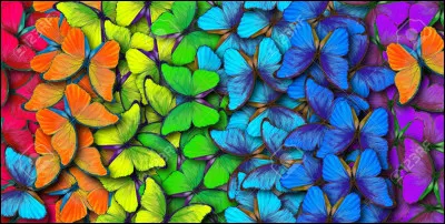Quelle est ta couleur préférée ?