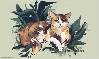 Salut et bienvenue sur ce quiz ! Enfin, commençons.

Le nom de guérisseuse de Petite Feuille est le même que son nom de chaton.