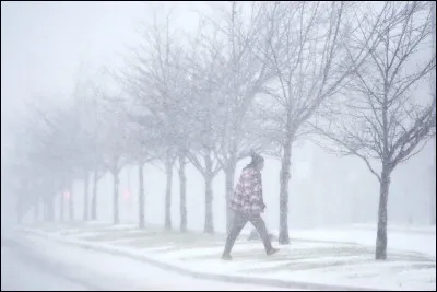 À quelle chanteuse devons-nous le tube "Il a neigé sur Yesterday" ?
