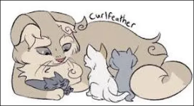 Que fais-tu si tu apprends que ton chaton, un chat blanc aux yeux bleus, est sourd de naissance ?