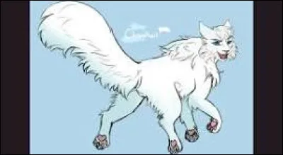 Okay, et comment appelerais-tu ce fils, chat blanc aux yeux bleus, d'ailleurs ?