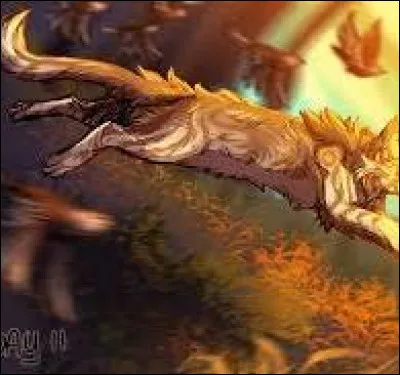 Quel serait ton grade de rêve dans LGDC ?