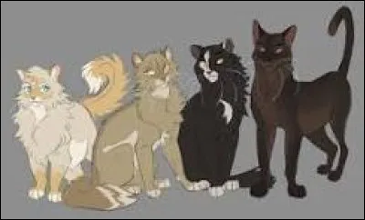 Combien voudrais-tu de portées de chatons ?