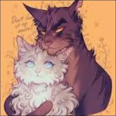 Quel élément t'attire le plus parmi ceux-ci ?