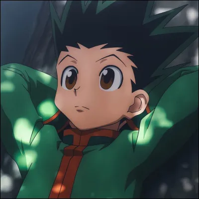 Quel type de nen est Gon  ?