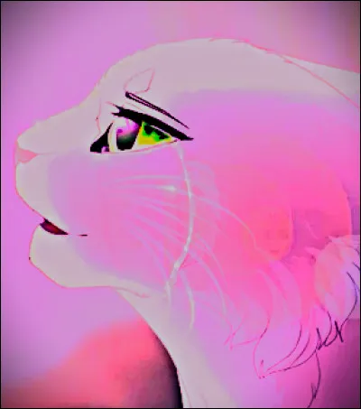 Le Clan des Étoiles existe depuis...