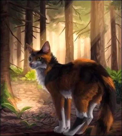 Qui est dans le néant parmi cette liste de chats ?